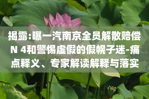揭露:曝一汽南京全員解散賠償N 4和警惕虛假的假幌子迷-痛點釋義、專家解讀解釋與落實