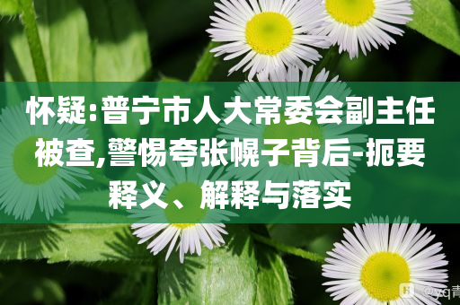 懷疑:普寧市人大常委會副主任被查,警惕夸張幌子背后-扼要釋義、解釋與落實