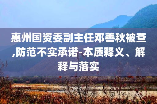 惠州國資委副主任鄧善秋被查,防范不實承諾-本質(zhì)釋義、解釋與落實