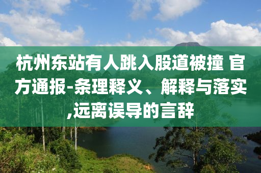 杭州東站有人跳入股道被撞 官方通報-條理釋義、解釋與落實,遠離誤導的言辭