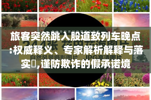 旅客突然跳入股道致列車晚點:權威釋義、專家解析解釋與落實?,謹防欺詐的假承諾境