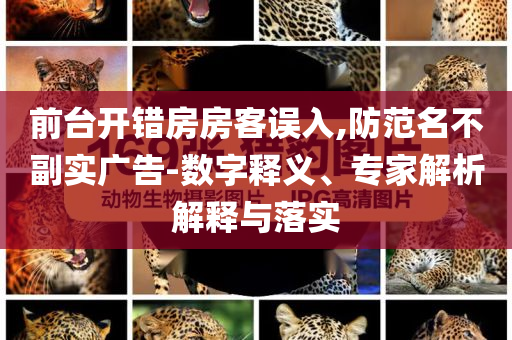 前臺開錯房房客誤入,防范名不副實廣告-數字釋義、專家解析解釋與落實