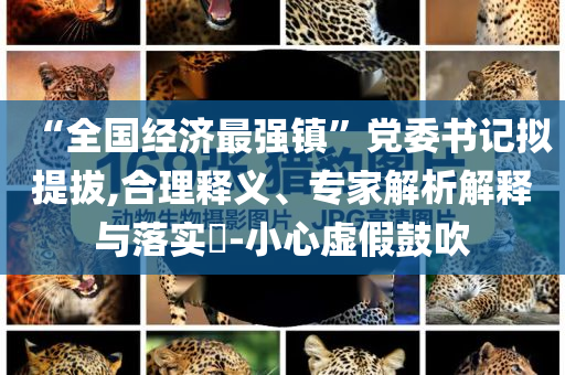 “全國(guó)經(jīng)濟(jì)最強(qiáng)鎮(zhèn)”黨委書(shū)記擬提拔,合理釋義、專(zhuān)家解析解釋與落實(shí)?-小心虛假鼓吹