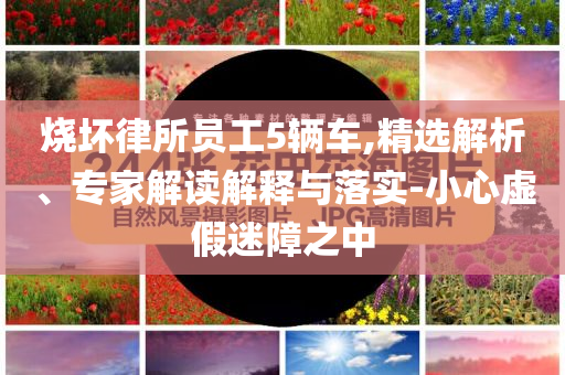 燒壞律所員工5輛車(chē),精選解析、專(zhuān)家解讀解釋與落實(shí)-小心虛假迷障之中