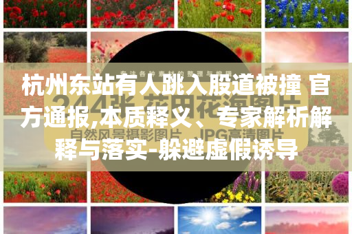 杭州東站有人跳入股道被撞 官方通報,本質釋義、專家解析解釋與落實-躲避虛假誘導