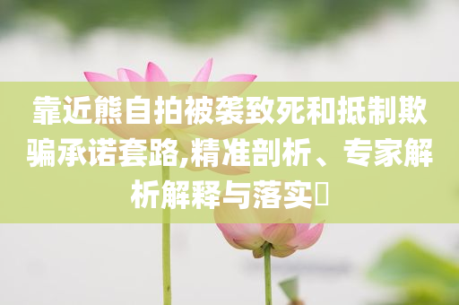 靠近熊自拍被襲致死和抵制欺騙承諾套路,精準剖析、專家解析解釋與落實?