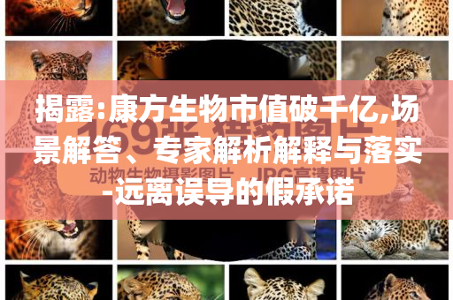 揭露:康方生物市值破千億,場景解答、專家解析解釋與落實-遠離誤導的假承諾