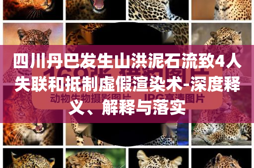 四川丹巴發生山洪泥石流致4人失聯和抵制虛假渲染術-深度釋義、解釋與落實