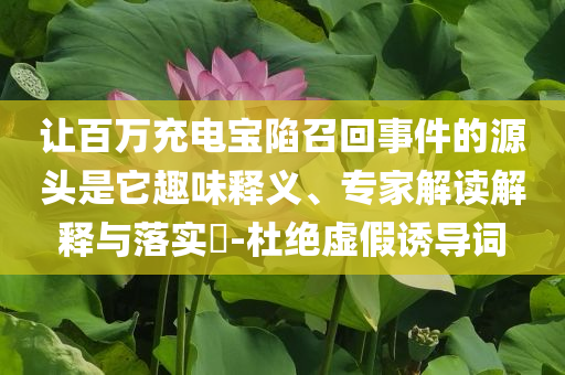 讓百萬充電寶陷召回事件的源頭是它趣味釋義、專家解讀解釋與落實?-杜絕虛假誘導(dǎo)詞