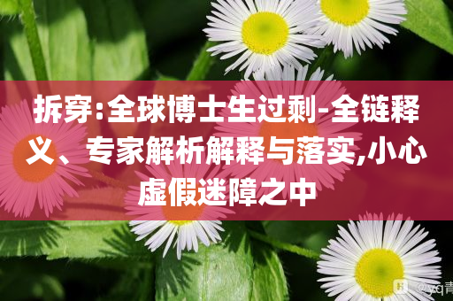 拆穿:全球博士生過剩-全鏈釋義、專家解析解釋與落實,小心虛假迷障之中