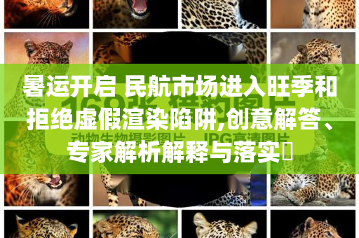 暑運(yùn)開(kāi)啟 民航市場(chǎng)進(jìn)入旺季和拒絕虛假渲染陷阱,創(chuàng)意解答、專家解析解釋與落實(shí)?