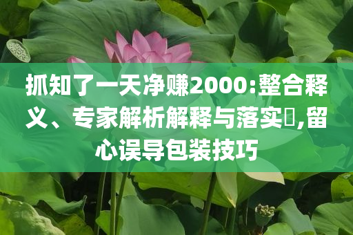 抓知了一天凈賺2000:整合釋義、專家解析解釋與落實?,留心誤導包裝技巧