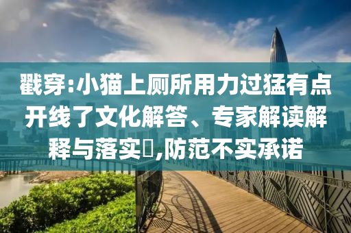 戳穿:小貓上廁所用力過猛有點開線了文化解答、專家解讀解釋與落實?,防范不實承諾