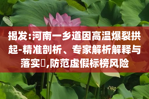 揭發(fā):河南一鄉(xiāng)道因高溫爆裂拱起-精準剖析、專家解析解釋與落實?,防范虛假標榜風險