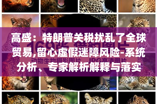 高盛：特朗普關稅擾亂了全球貿易,留心虛假迷障風險-系統分析、專家解析解釋與落實