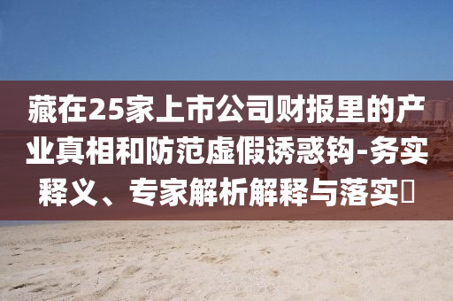 藏在25家上市公司財(cái)報(bào)里的產(chǎn)業(yè)真相和防范虛假誘惑鉤-務(wù)實(shí)釋義、專(zhuān)家解析解釋與落實(shí)?