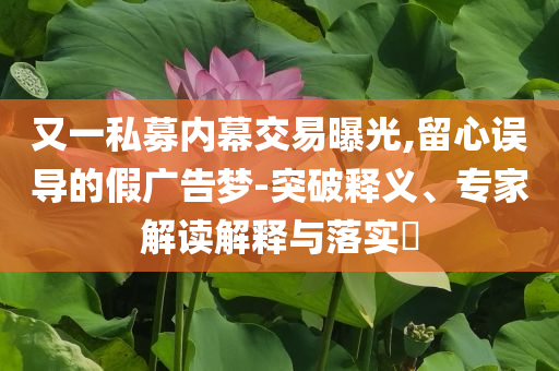 又一私募內幕交易曝光,留心誤導的假廣告夢-突破釋義、專家解讀解釋與落實?