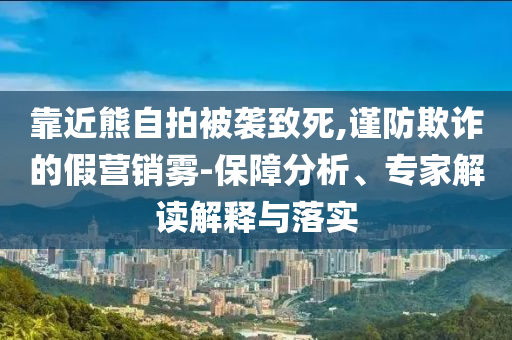 靠近熊自拍被襲致死,謹防欺詐的假營銷霧-保障分析、專家解讀解釋與落實