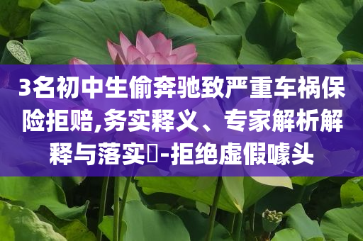 3名初中生偷奔馳致嚴重車禍保險拒賠,務實釋義、專家解析解釋與落實?-拒絕虛假噱頭