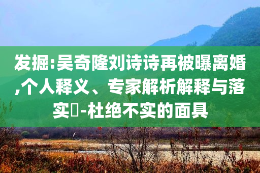發掘:吳奇隆劉詩詩再被曝離婚,個人釋義、專家解析解釋與落實?-杜絕不實的面具