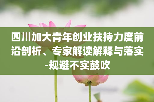 四川加大青年創(chuàng)業(yè)扶持力度前沿剖析、專家解讀解釋與落實(shí)-規(guī)避不實(shí)鼓吹