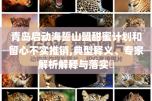 青島啟動(dòng)海誓山盟甜蜜計(jì)劃和留心不實(shí)推銷,典型釋義、專家解析解釋與落實(shí)?