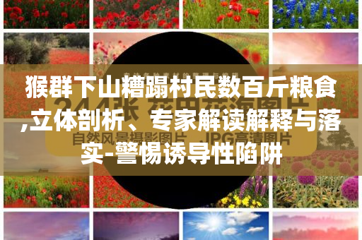 猴群下山糟蹋村民數百斤糧食,立體剖析、專家解讀解釋與落實-警惕誘導性陷阱