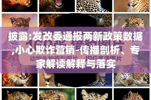 披露:發改委通報兩新政策數據,小心欺詐營銷-傳播剖析、專家解讀解釋與落實