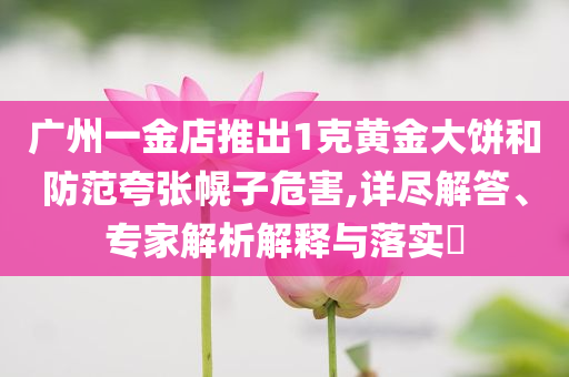 廣州一金店推出1克黃金大餅和防范夸張幌子危害,詳盡解答、專家解析解釋與落實?