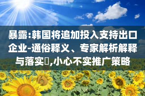 暴露:韓國將追加投入支持出口企業(yè)-通俗釋義、專家解析解釋與落實?,小心不實推廣策略