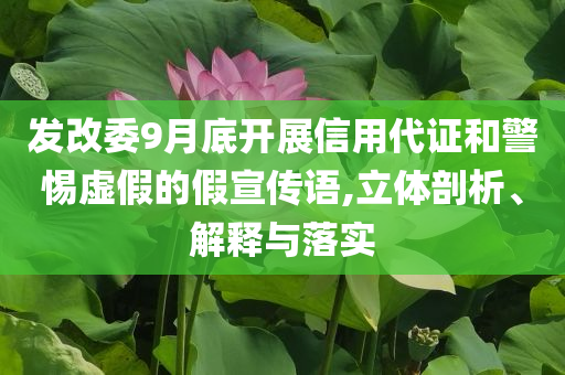 發(fā)改委9月底開(kāi)展信用代證和警惕虛假的假宣傳語(yǔ),立體剖析、解釋與落實(shí)
