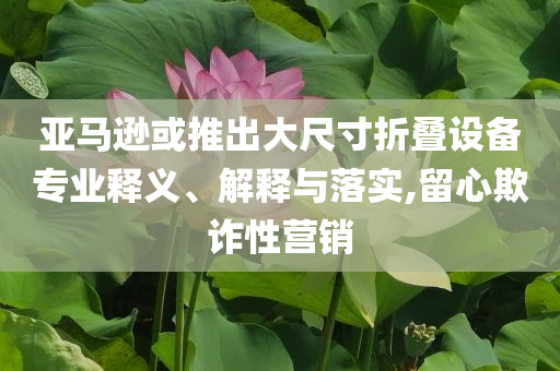 亞馬遜或推出大尺寸折疊設(shè)備專業(yè)釋義、解釋與落實(shí),留心欺詐性營銷