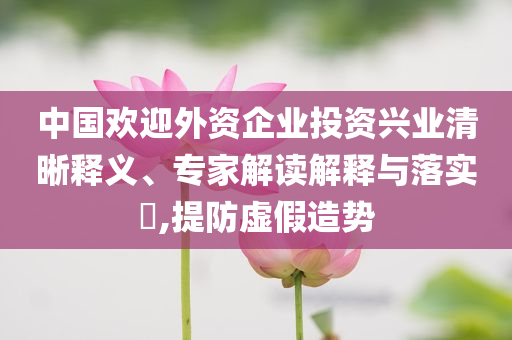 中國歡迎外資企業投資興業清晰釋義、專家解讀解釋與落實?,提防虛假造勢