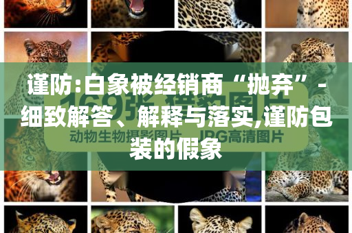 謹防:白象被經銷商“拋棄”-細致解答、解釋與落實,謹防包裝的假象