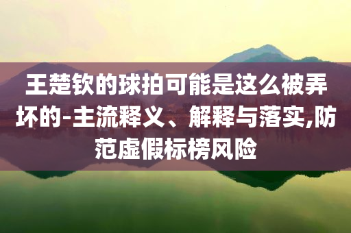 王楚欽的球拍可能是這么被弄壞的-主流釋義、解釋與落實(shí),防范虛假標(biāo)榜風(fēng)險(xiǎn)