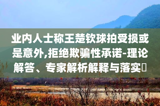 業內人士稱王楚欽球拍受損或是意外,拒絕欺騙性承諾-理論解答、專家解析解釋與落實?