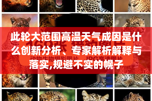 此輪大范圍高溫天氣成因是什么創新分析、專家解析解釋與落實,規避不實的幌子