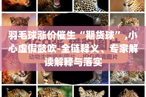 羽毛球漲價催生“期貨球”,小心虛假鼓吹-全鏈釋義、專家解讀解釋與落實