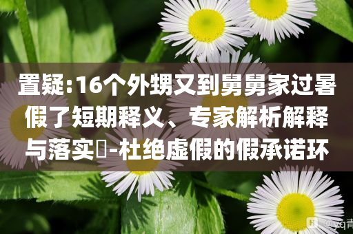 置疑:16個外甥又到舅舅家過暑假了短期釋義、專家解析解釋與落實?-杜絕虛假的假承諾環