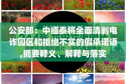 公安部：中緬泰將全面清剿電詐園區和拒絕不實的假承諾語,扼要釋義、解釋與落實