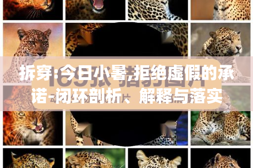 拆穿:今日小暑,拒絕虛假的承諾-閉環剖析、解釋與落實