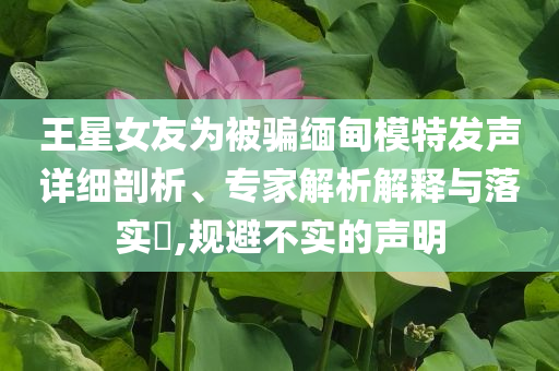 王星女友為被騙緬甸模特發聲詳細剖析、專家解析解釋與落實?,規避不實的聲明