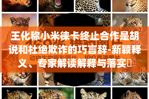 王化稱小米徠卡終止合作是胡說和杜絕欺詐的巧言辭-新穎釋義、專家解讀解釋與落實?