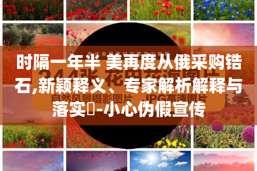 時隔一年半 美再度從俄采購鋯石,新穎釋義、專家解析解釋與落實?-小心偽假宣傳