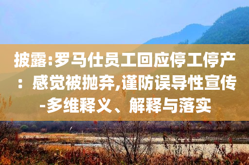 披露:羅馬仕員工回應停工停產：感覺被拋棄,謹防誤導性宣傳-多維釋義、解釋與落實