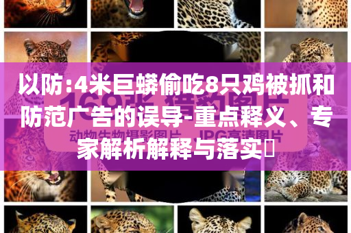 以防:4米巨蟒偷吃8只雞被抓和防范廣告的誤導-重點釋義、專家解析解釋與落實?