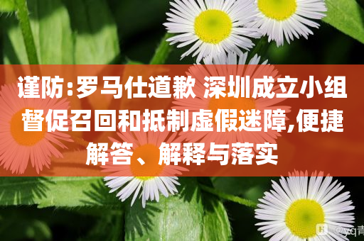 謹(jǐn)防:羅馬仕道歉 深圳成立小組督促召回和抵制虛假迷障,便捷解答、解釋與落實(shí)