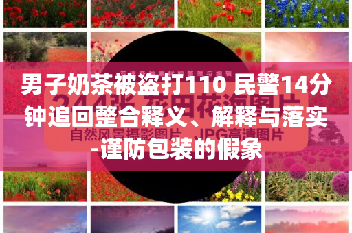 男子奶茶被盜打110 民警14分鐘追回整合釋義、解釋與落實(shí)-謹(jǐn)防包裝的假象