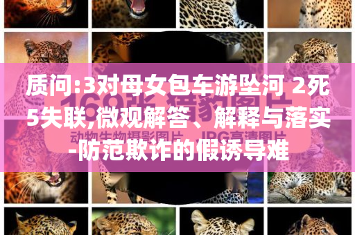 質(zhì)問(wèn):3對(duì)母女包車(chē)游墜河 2死5失聯(lián),微觀解答、解釋與落實(shí)-防范欺詐的假誘導(dǎo)難