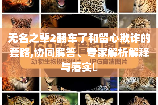 無名之輩2翻車了和留心欺詐的套路,協同解答、專家解析解釋與落實?